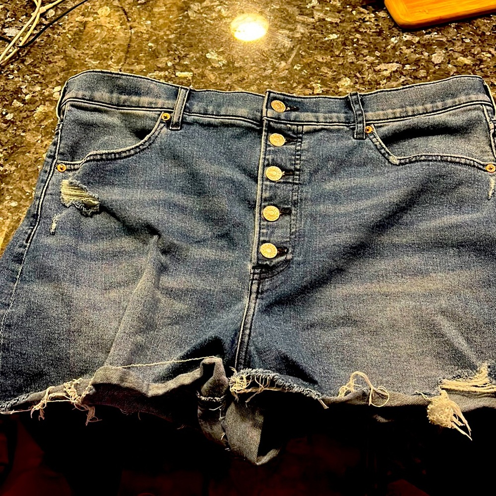 Express Mom Shorts Button Up